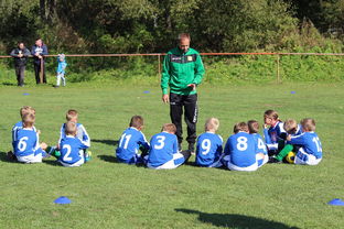 爱游戏体育-欧洲杯冠军悬念：战术配合与个人能力巅峰对决，欧洲杯冠军大热门